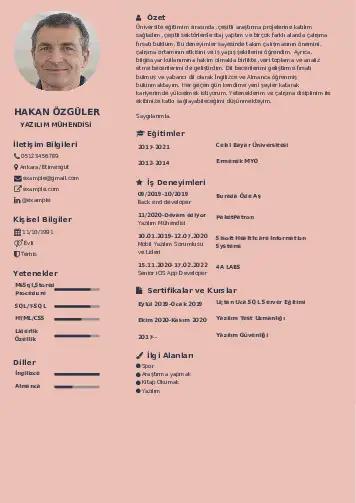 Yazılım Mühendisi Cv Örnekleri cv indir
